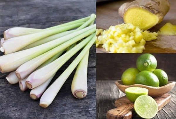 cÃ¡ch luá»™c lÃ²ng ngon