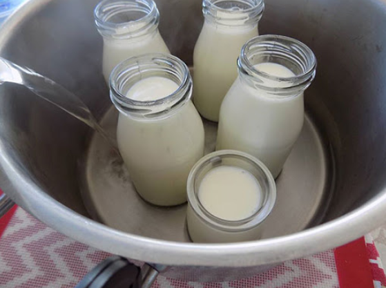 cách làm yaourt