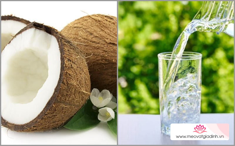 cÃ¡ch lÃ m nÆ°á»›c cá»‘t dá»«a