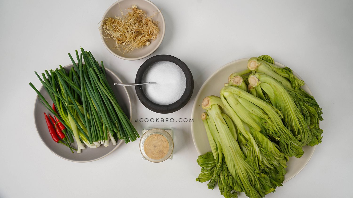 cÃ¡ch lÃ m dÆ°a chua