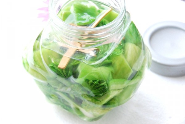 cÃ¡ch lÃ m dÆ°a chua