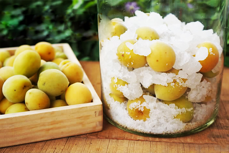 cÃ¡ch ngÃ¢m mÆ¡ Ä‘Æ°á»ng