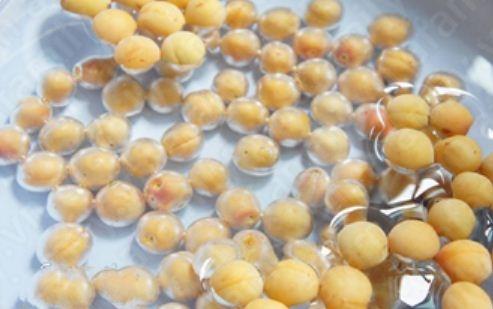 cÃ¡ch ngÃ¢m mÆ¡ Ä‘Æ°á»ng