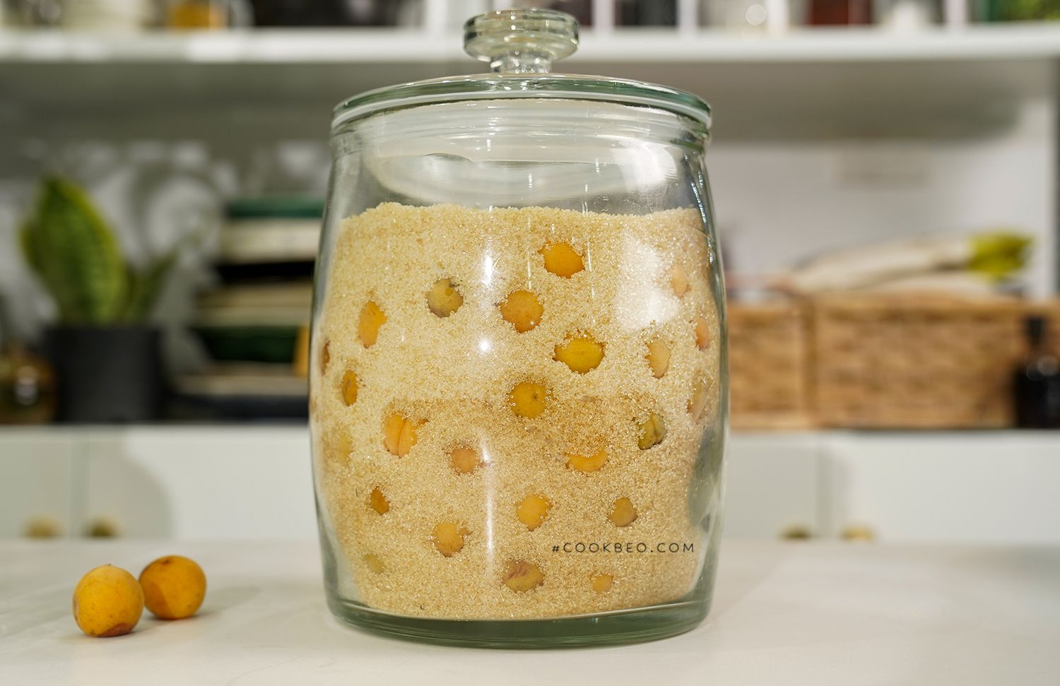 cÃ¡ch ngÃ¢m mÆ¡ Ä‘Æ°á»ng