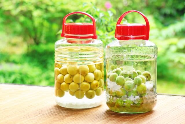 cÃ¡ch ngÃ¢m mÆ¡ Ä‘Æ°á»ng