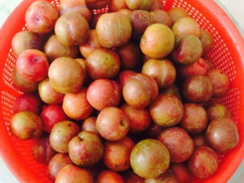 CÃ¡ch ngÃ¢m máº­n vá»›i Ä‘Æ°á»ng