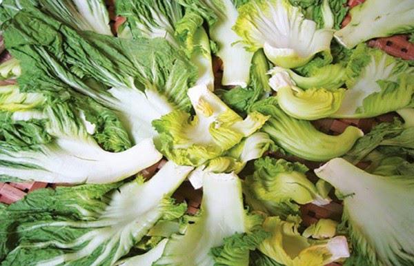 cÃ¡ch lÃ m dÆ°a mÃ³n