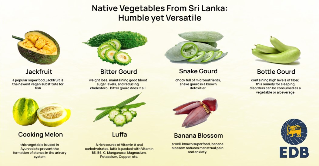 The Longest Vegetable Name Unveiling the Fascinating World of