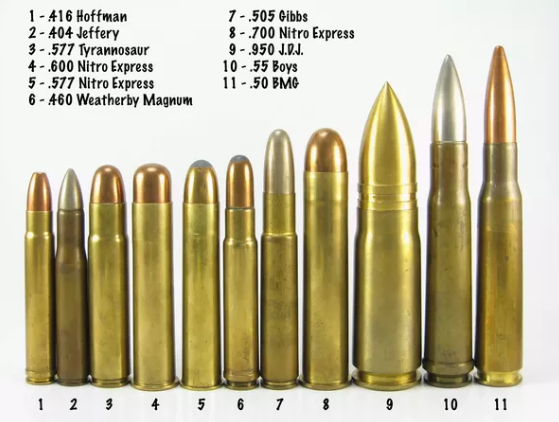 biggest bullets in the world