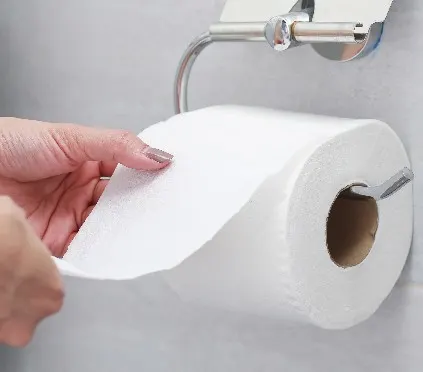 toilet paper roll circumference