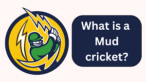 mud cricket meaning