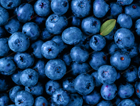 what color is a blueberry