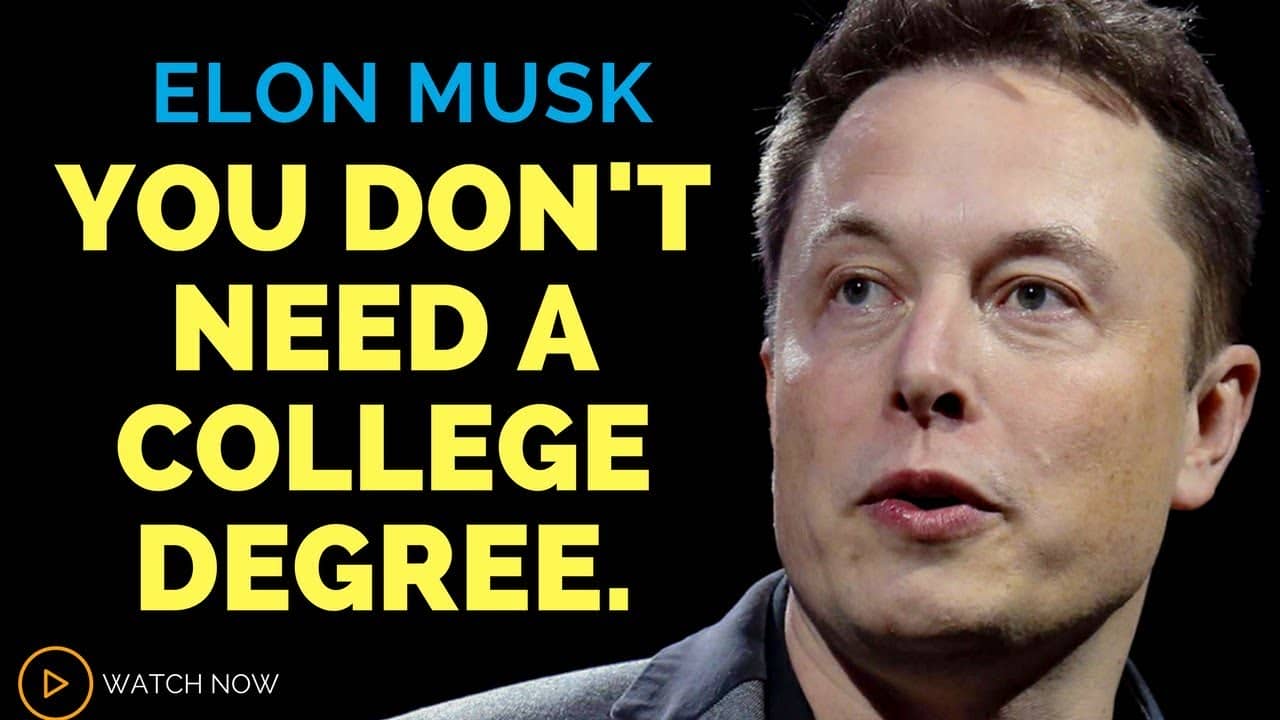 what degrees does elon musk have