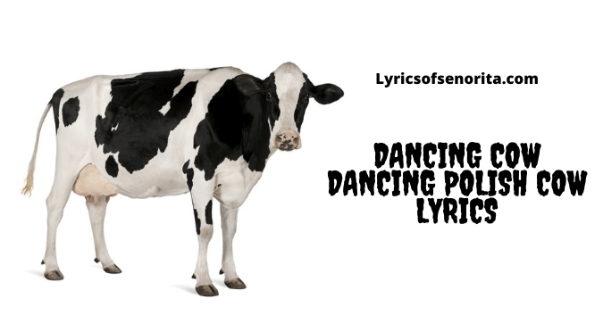 polish cow lyrics english