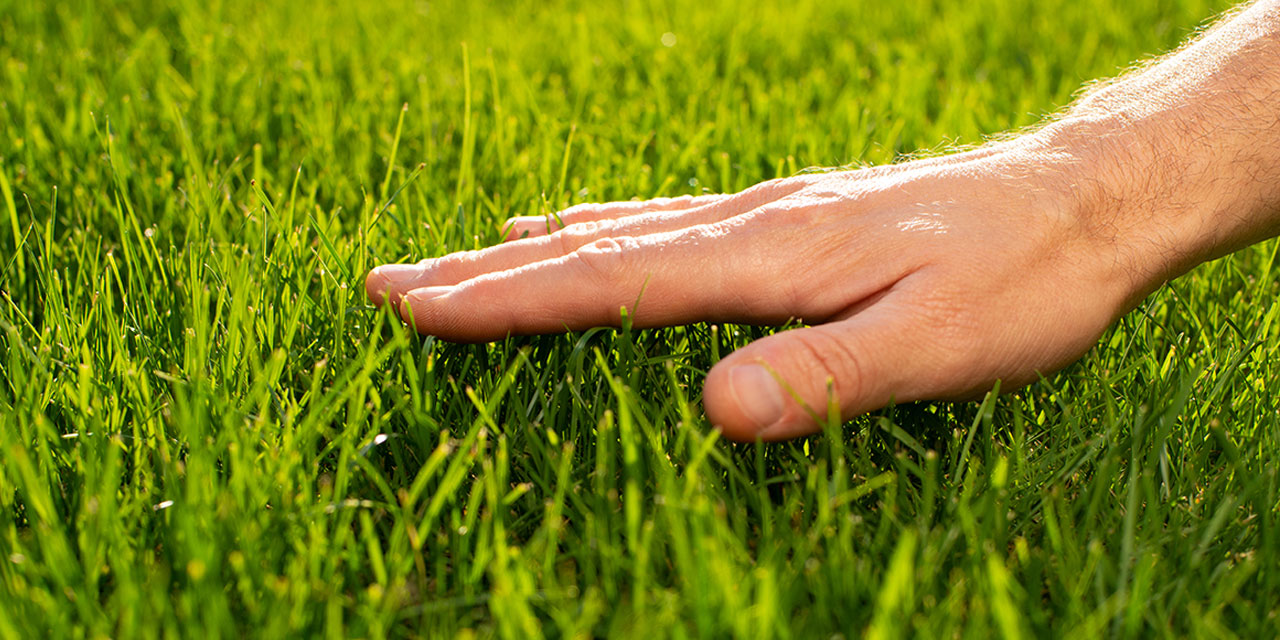 touch grass meaning