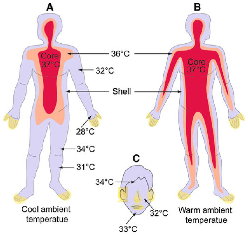 what is the lowest temperature a human can survive outside