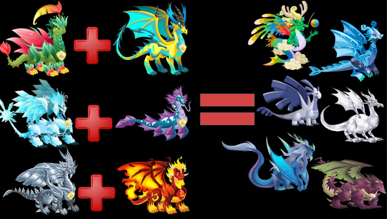 rarest dragon in dragon city