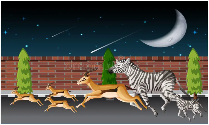 which animals run about 8 miles a night