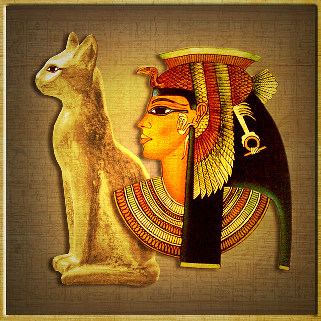 cleopatra's cat name