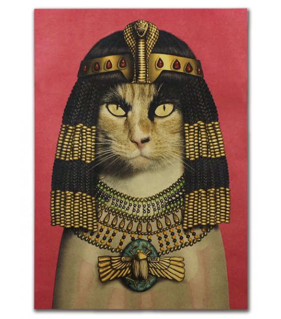 cleopatra's cat name