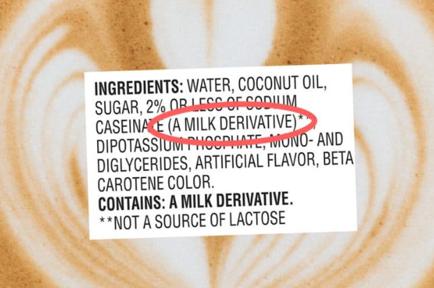 what is milk derivative