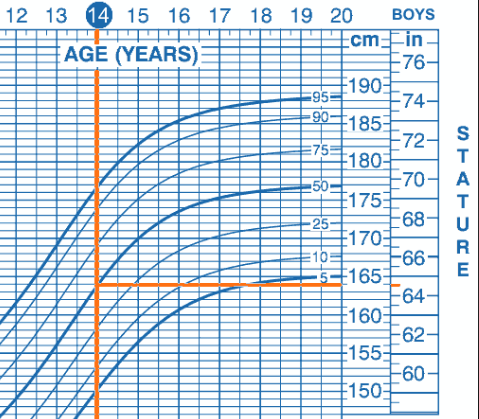 average height of 15 year olds