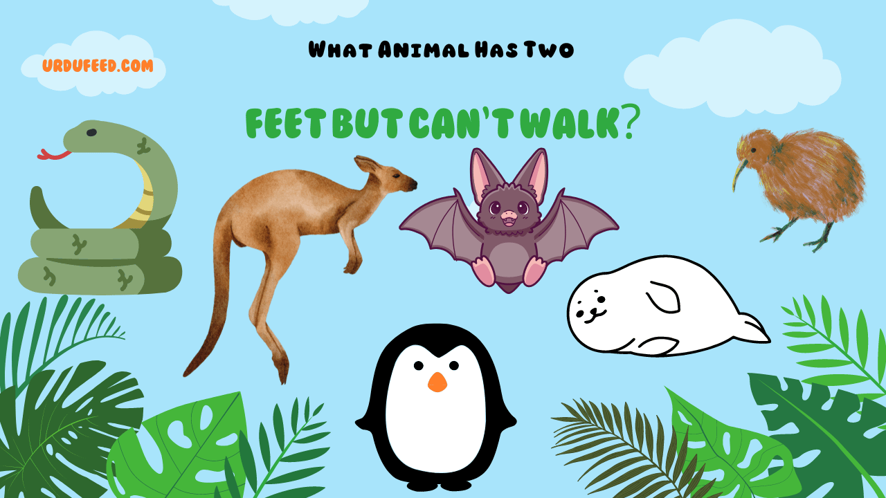 what animal has two feet and can't walk