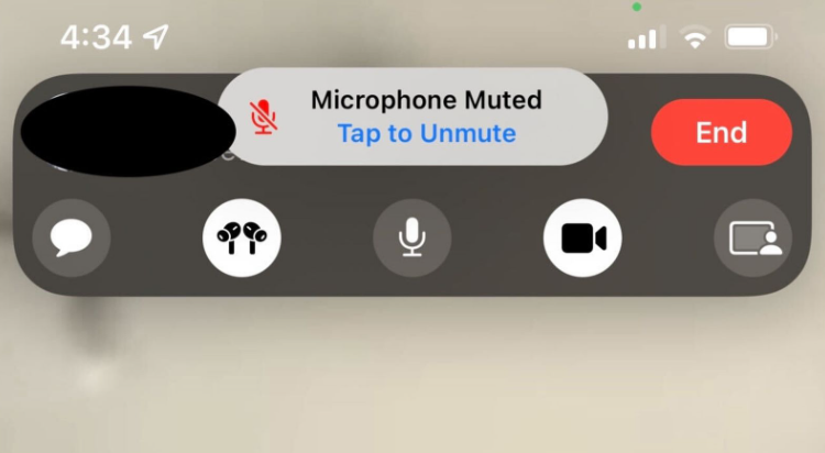 how to mute other person on facetime