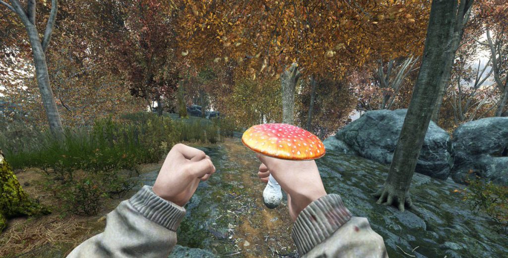 how to find food in dayz