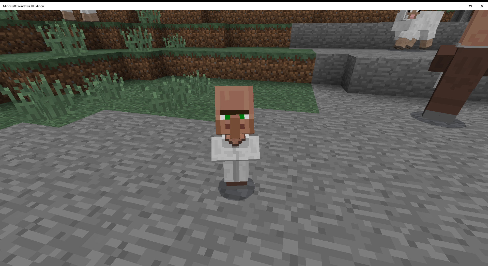 how long does it take a baby villager to grow up