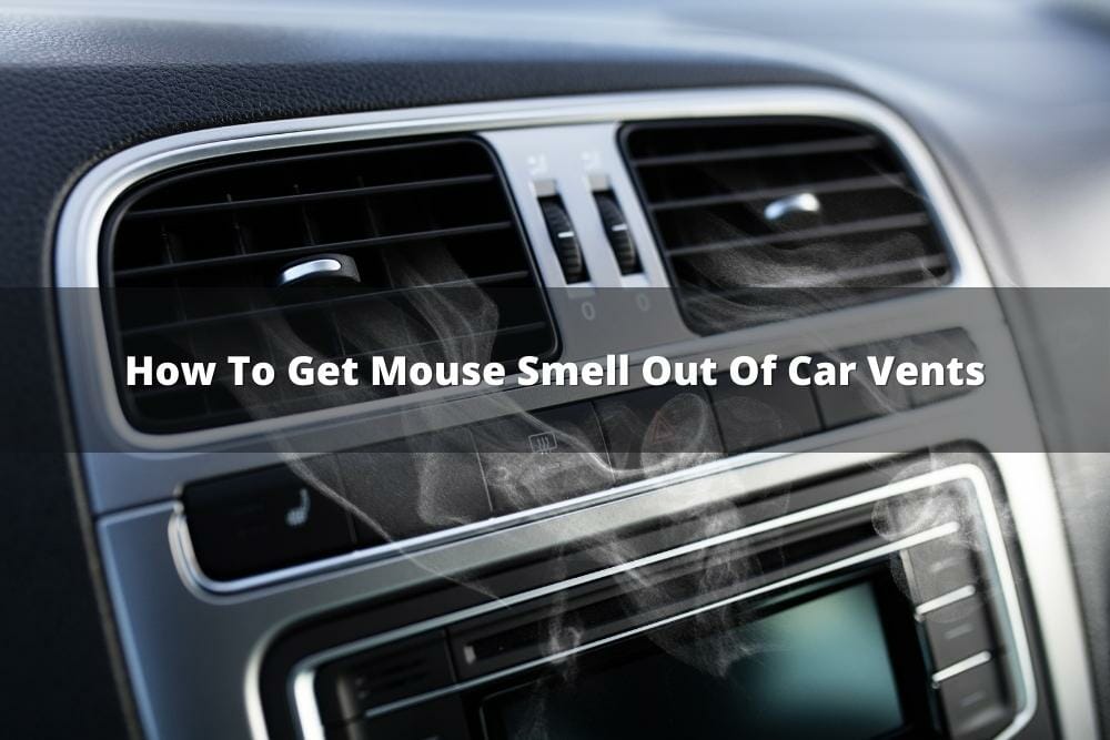 how to get mouse smell out of car vents