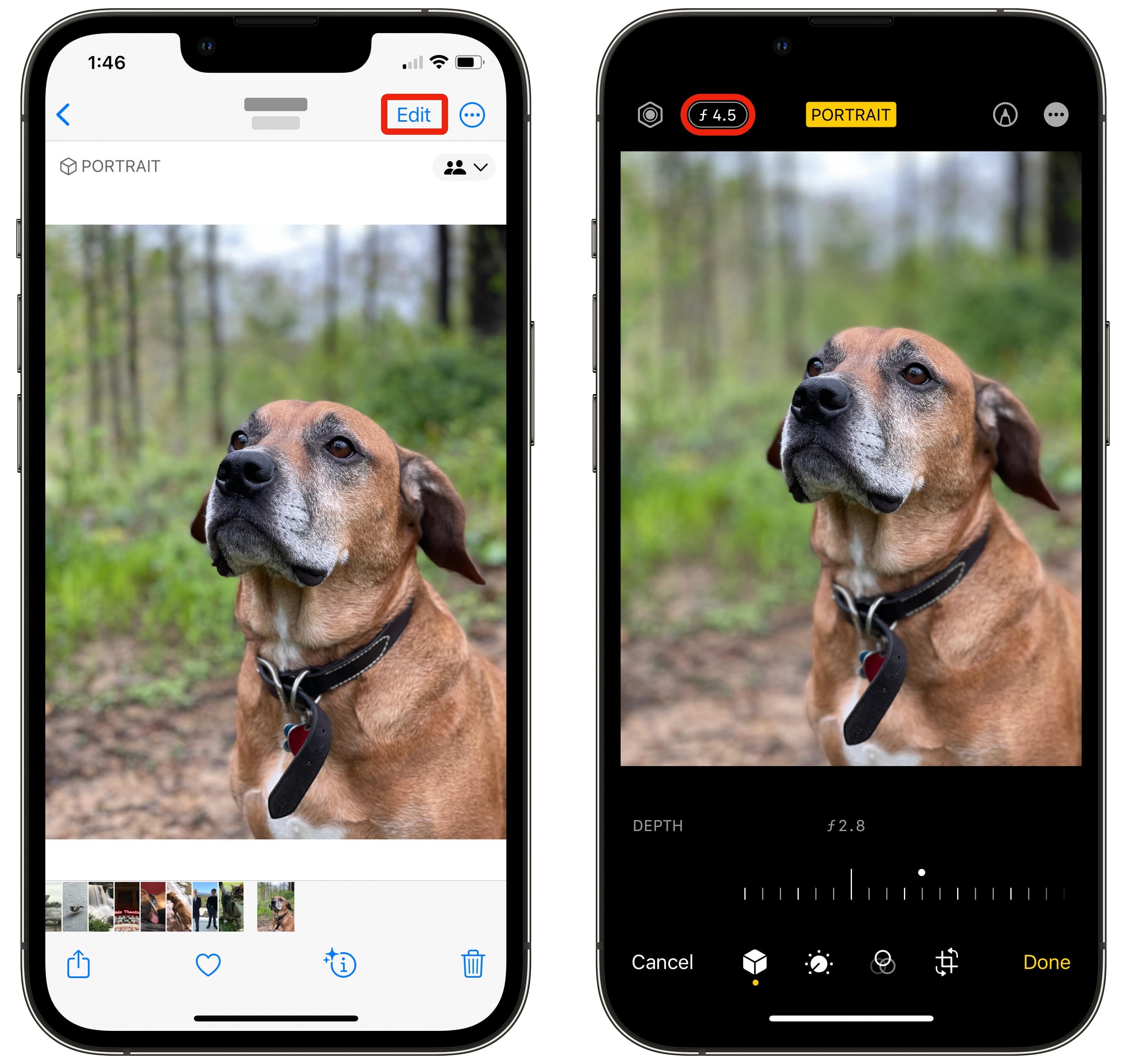how to blur pictures on iphone