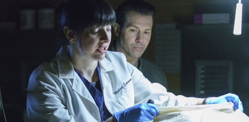 lindsey pearlman general hospital character