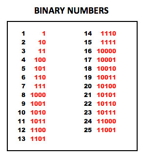 which of the following is the correct binary representation of the number 22?