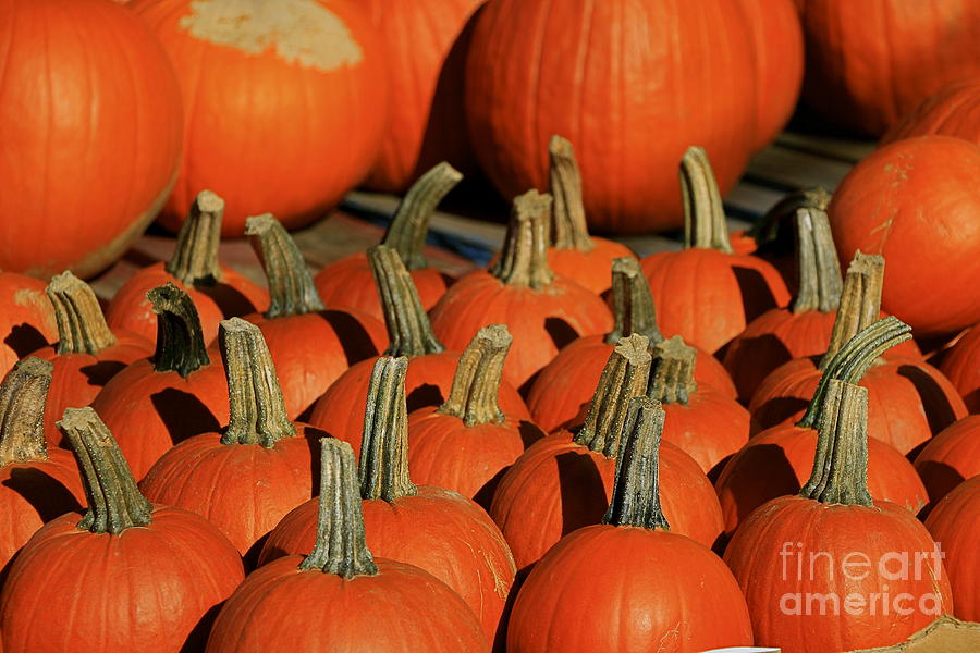 what color is a pumpkin stem