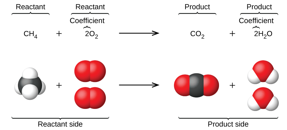which symbol in a chemical equation separates the reactants from the products? = → > +