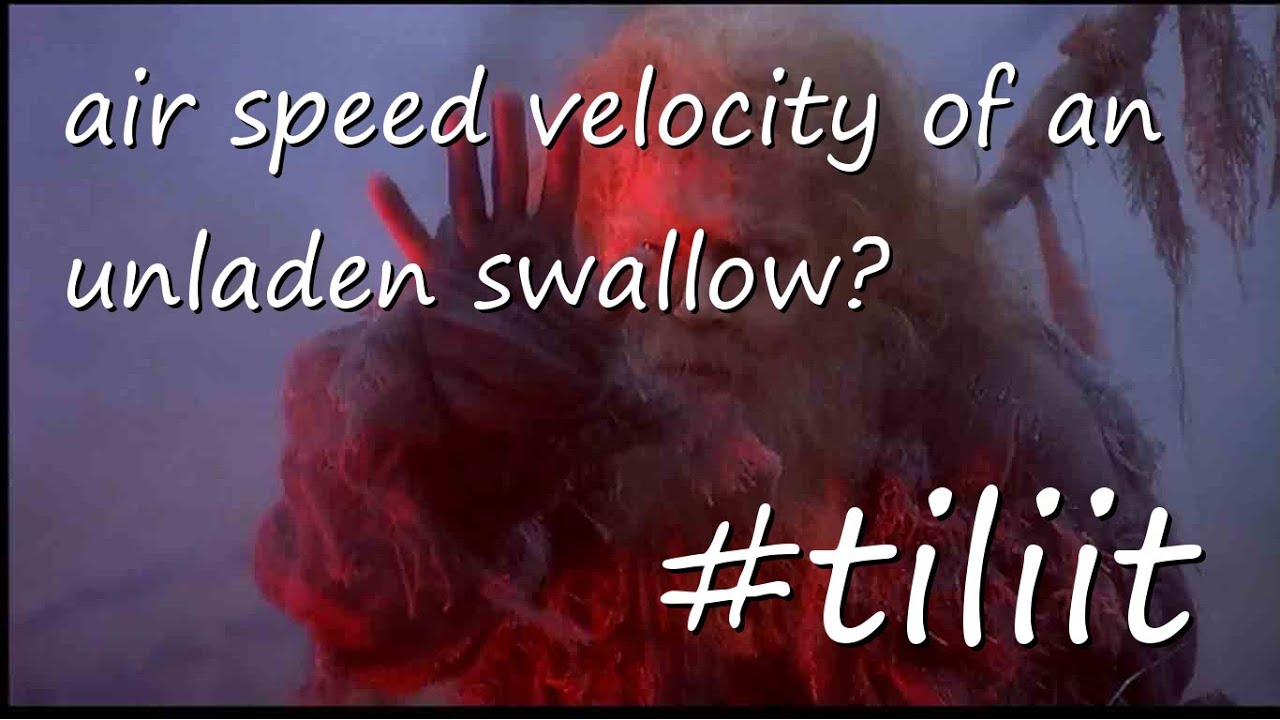 air speed velocity of an unladen swallow