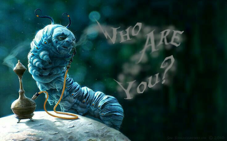 what is the caterpillars name in alice in wonderland
