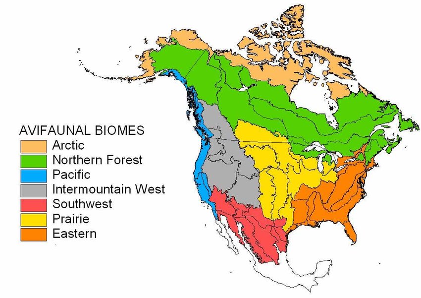in north america what is the largest biome present