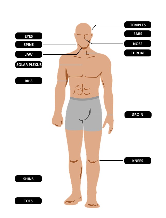 weakest part of the body