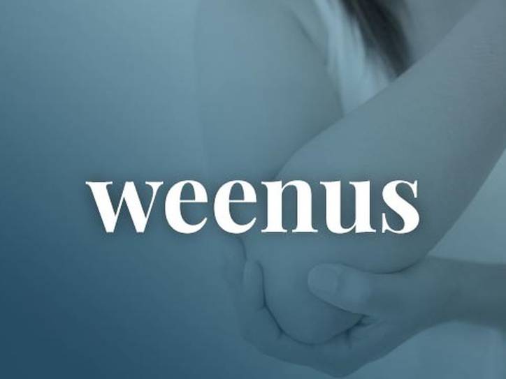 whats a wenis
