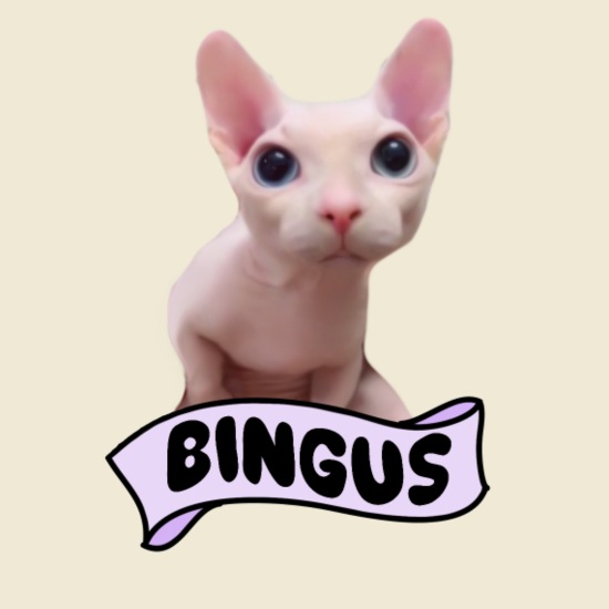 is bingus alive