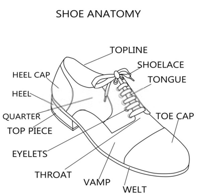 end of shoelace name