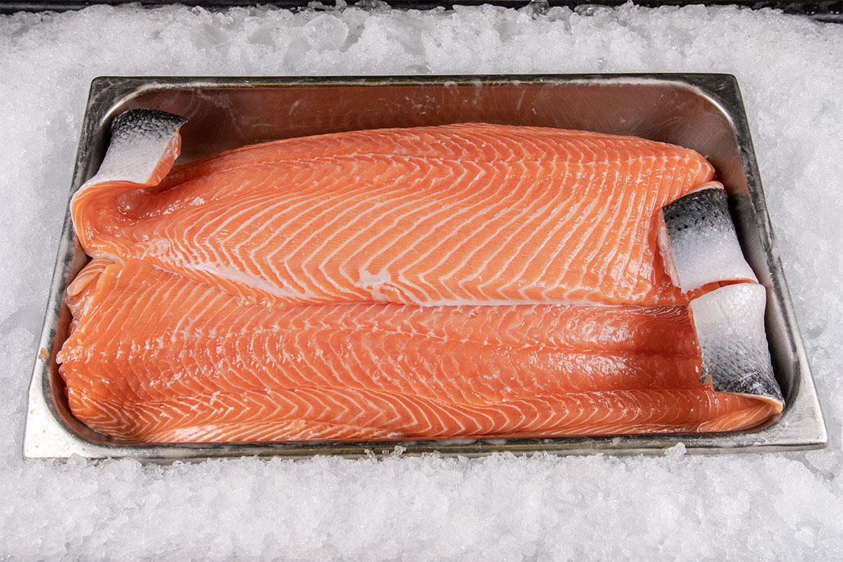 which of the following is true of farm-raised salmon?