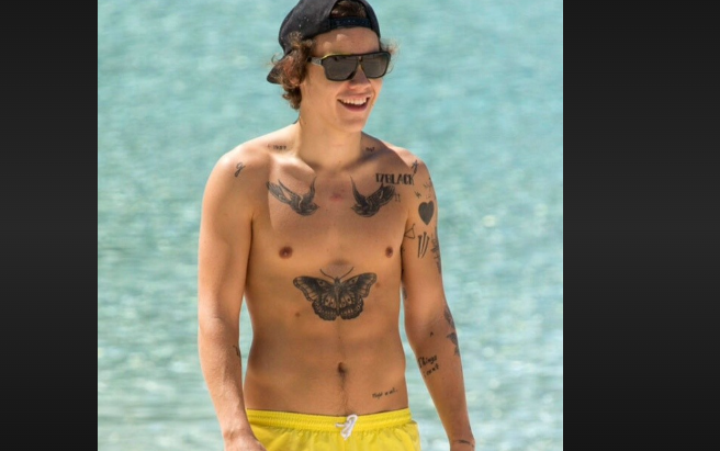 how many nipples does harry styles have