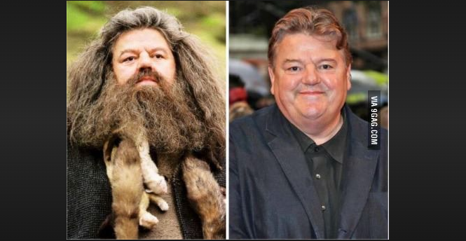 how big is hagrid in real life