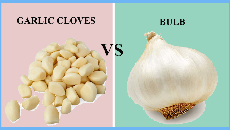 how many ounces is a clove of garlic