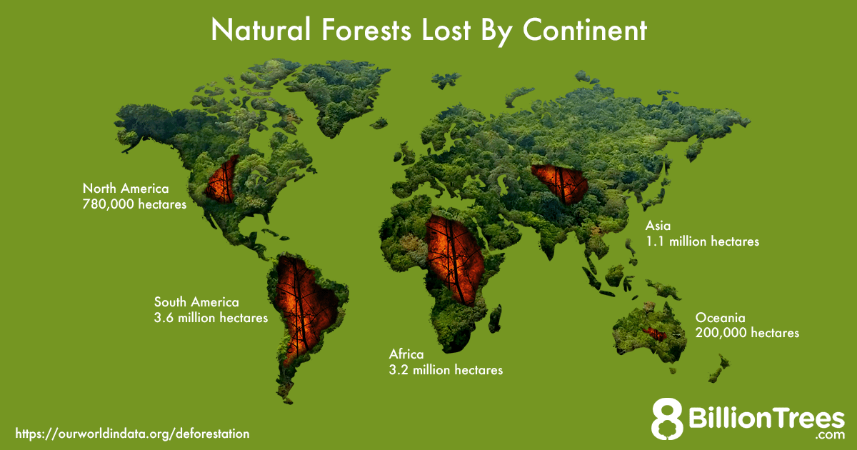 how many acres are in the world