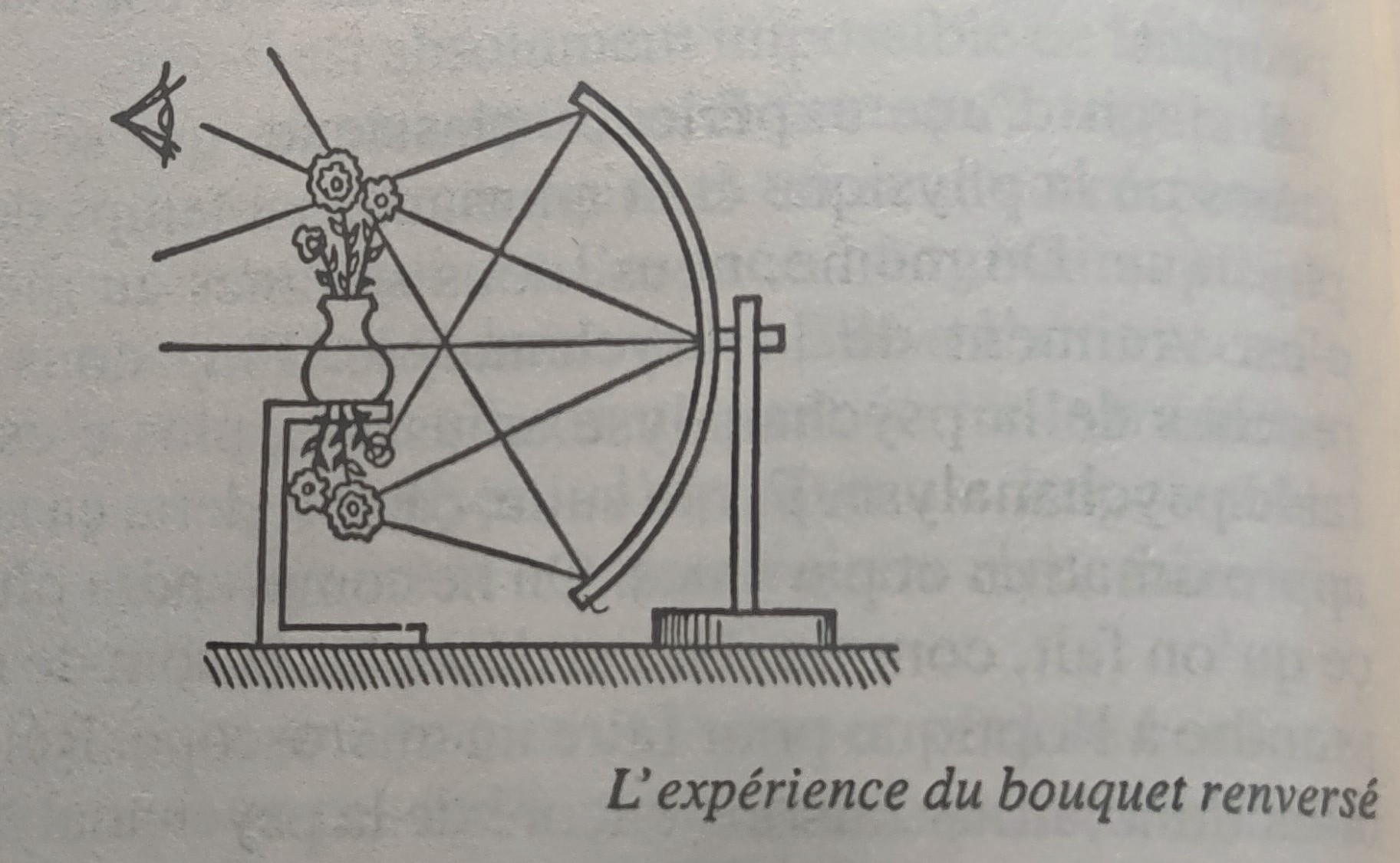 do people see you inverted