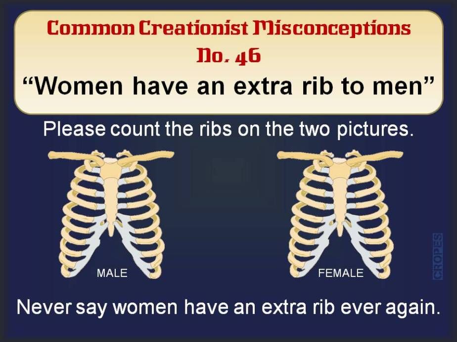 how many ribs do men have